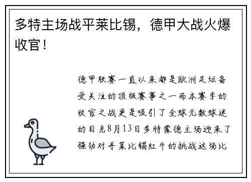 多特主场战平莱比锡，德甲大战火爆收官！