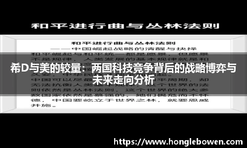 希D与美的较量：两国科技竞争背后的战略博弈与未来走向分析